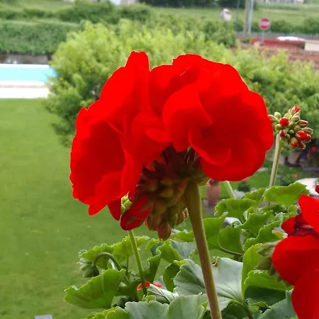 ゲストハウス Le Sette Fontane バルガ