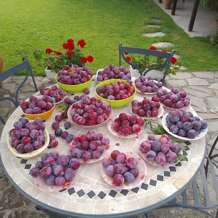 בית הארחה Le Sette Fontane 3*