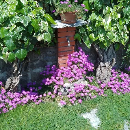 Maison d'hôtes Le Sette Fontane