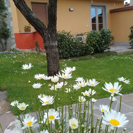 Le Sette Fontane Maison d'hôtes 3*