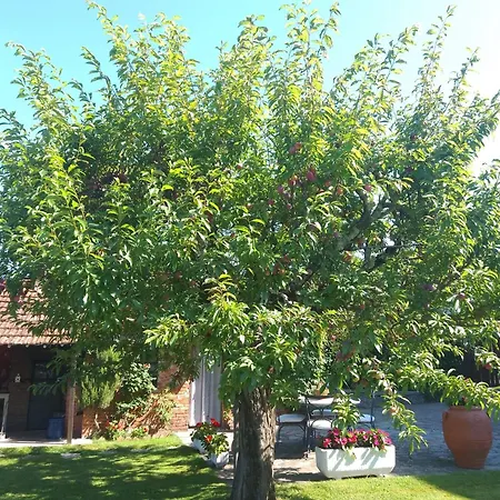 Maison d'hôtes Le Sette Fontane Barga